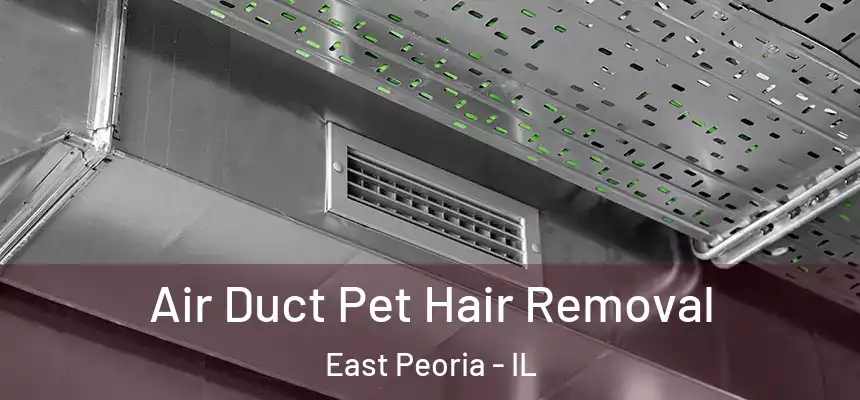 Air Duct Pet Hair Removal East Peoria - IL