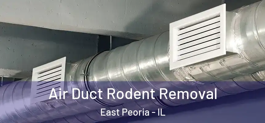 Air Duct Rodent Removal East Peoria - IL