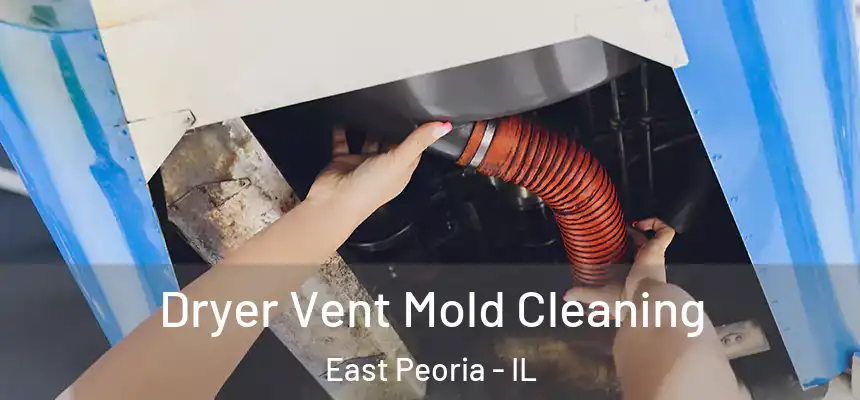  Dryer Vent Mold Cleaning East Peoria - IL