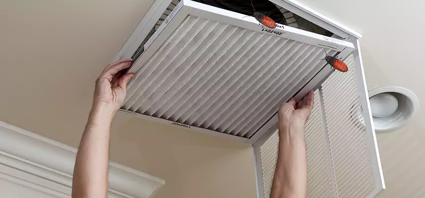 Our Insect Removal from Air Ducts Services in East Peoria, IL