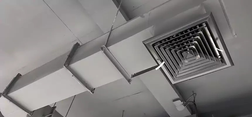 Our Pest Removal From Ducts Services in East Peoria, IL