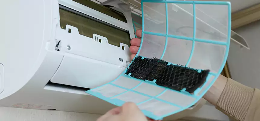 Gentle Ductwork Odor-Control Pet Dander Duct Cleaning in East Peoria, IL