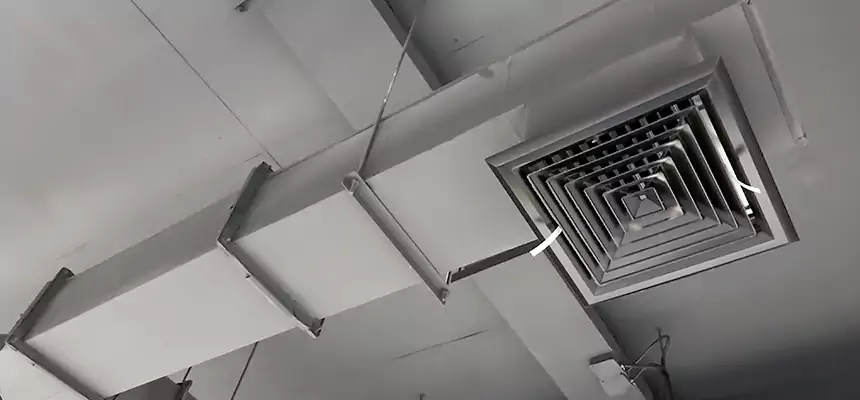 Our Rodent Droppings In Vents Services in East Peoria, IL