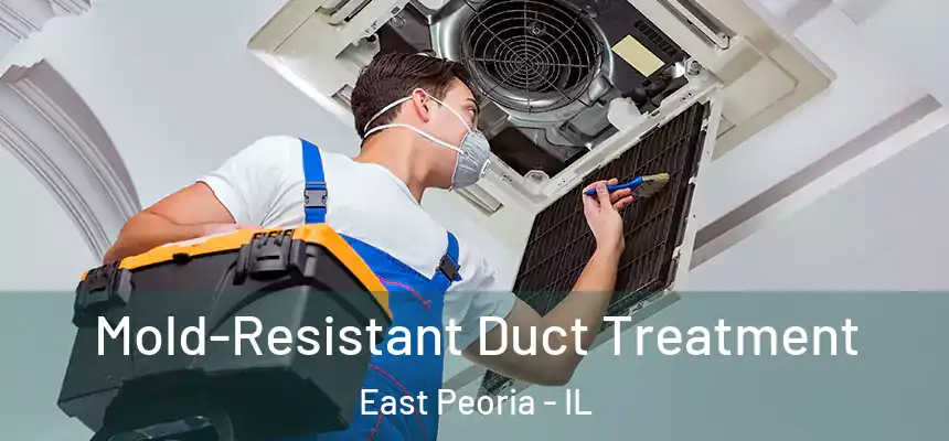 Mold-Resistant Duct Treatment East Peoria - IL
