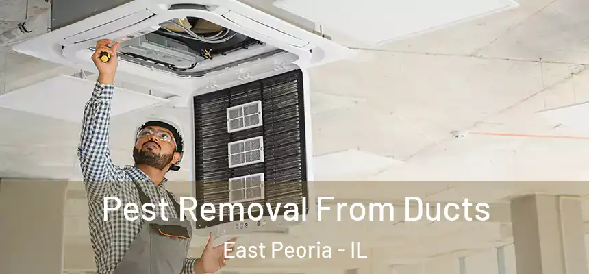  Pest Removal From Ducts East Peoria - IL