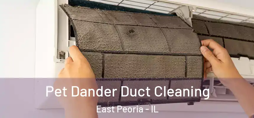  Pet Dander Duct Cleaning East Peoria - IL