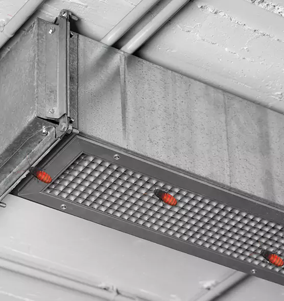 About Air Duct Cockroach Removal in East Peoria, IL