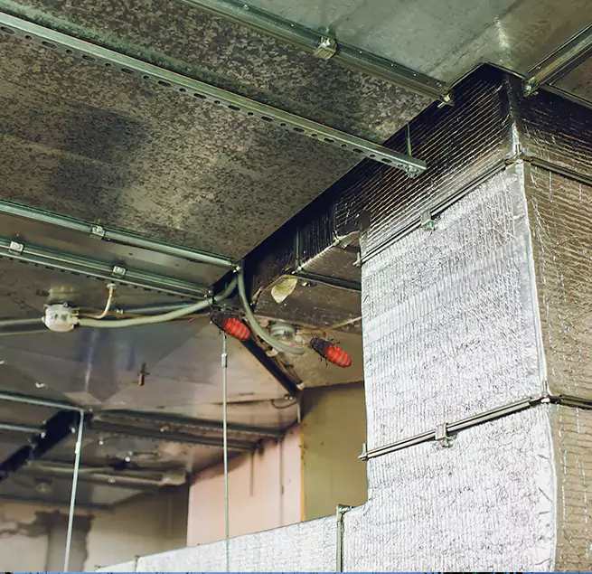 Why Homeowners & Businesses Trust Us in East Peoria, IL?