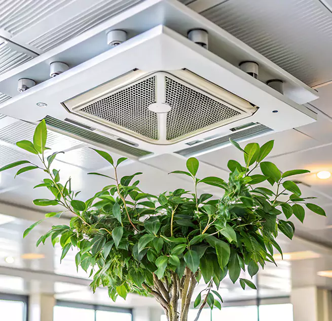 Why Homeowners & Businesses Trust Us in East Peoria, IL?