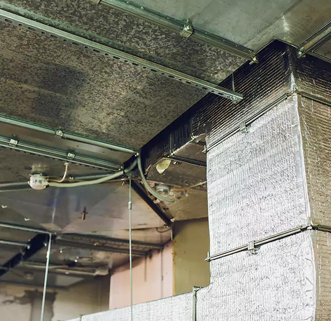 Why Homeowners & Businesses Trust Us in East Peoria, IL?